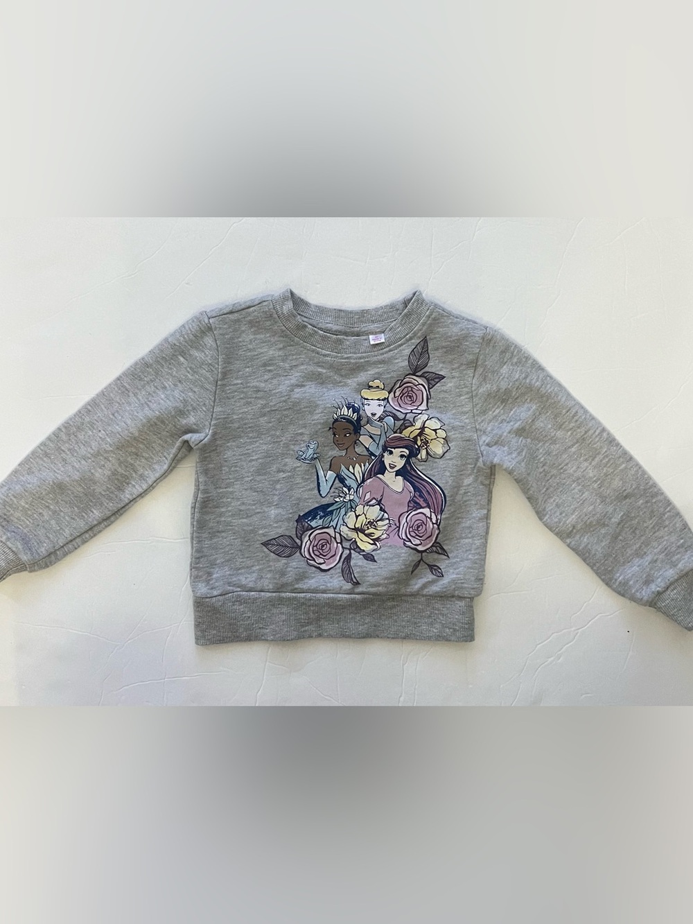 2T toddler girl Disney Gray Princess Floral Crewneck Sweatshirt fleece back